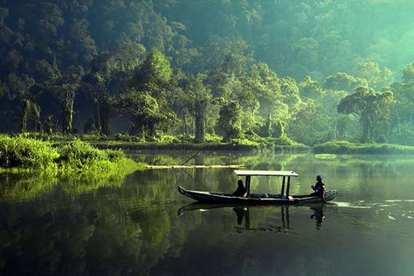 Habiganj Highlands tea gardens
